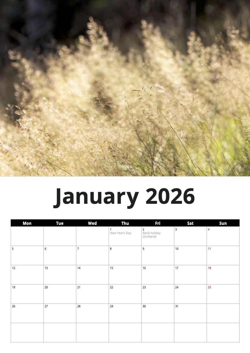 2 Olga Vynnyk (UA) 2026 calendar A3 - Image 2