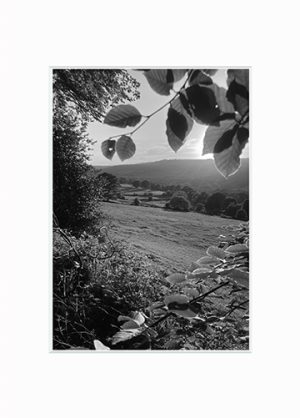 Rivelin Valley Summer - A5 mounted print