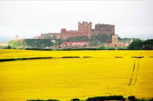 Giclée print Bamburgh Castle (8x12 print in 12x16 mount)